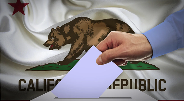 Person casting their ballot